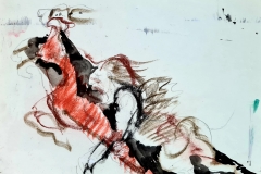 Disparates - Herbivore and Predator, 2008, 24.7x35.4cm, pencil, pastel and ink