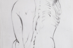 Licht-Zeichnung - Körper 110, 65x45cm, Kohle auf Papier